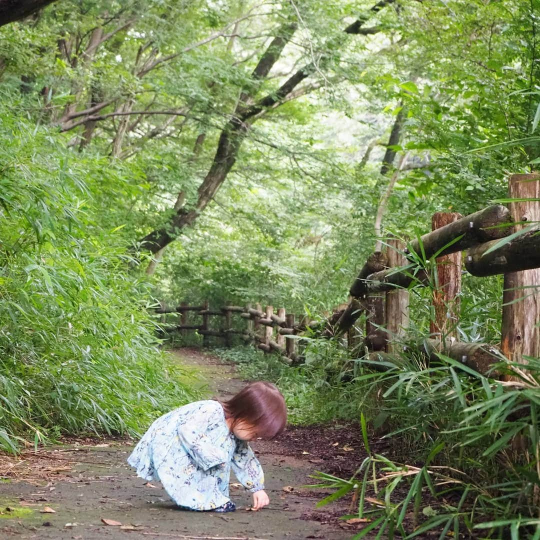 Kuboi Ayumiさんのインスタグラム写真 - (Kuboi AyumiInstagram)「娘たちと自然を満喫！ ちょっとタイムスリップしたような懐かしい空間で遊んだり。  ドライブがてら野山北・六道山公園まで遊びに行ってきました。  雑木林と谷戸（丘陵に切れ込んだ谷間）の組合せによって、豊かな自然が残された都立で最大の都市公園です。 カタクリの群生地やホタルの生息地、里山民家や岸たんぼなどがあり、とても広い敷地なので、１日中遊べますよ。  江戸時代の民家を新築・復元した「母屋」で遊んだり 小さいお子様がいるなら、冒険の森でアスレチックや、空中散歩が楽しめる観察展望デッキもおすすめ。  娘たちもセミの抜け殻を拾ったり、ザリガニをつかまえたりして。 ママはドキドキでしたが、子どもたちって積極的ですね（笑）  森林浴をしながらお散歩するだけでもリフレッシュできますし ハイキングや野鳥観察、森遊びなど、自然の中でたっぷりと遊べる公園で 娘たちは大喜びでした。  #女の子ママ #親バカ部 #リンクコーデ  #六道山公園 @tamahatsu_official #たま発 #tamahatsu #pr #多摩の魅力発信プロジェクト #drive #ドライブ #旅行 #travel」11月5日 19時10分 - himekagami