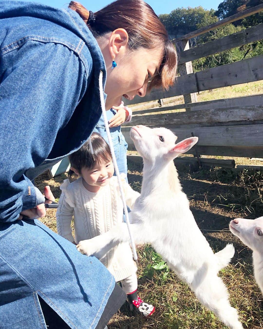 田中雅美さんのインスタグラム写真 - (田中雅美Instagram)「真衣さん、ヤギの赤ちゃんと会話してます。  お気に入られたようです♡  お洋服の紐をむしゃむしゃされておりました。笑笑  #ヤギと会話 #中村真衣」11月6日 5時29分 - tanakamasami_official