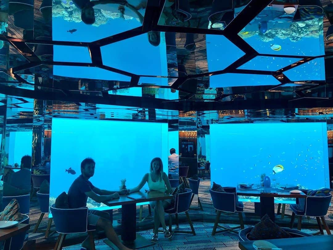 ラドゥ・アルボットのインスタグラム：「Just had lunch in one of the most beautiful restaurants we have ever been to 🐠 🐟 🐡 🦈  #underwaterrestaurant #fish #for #lunch」