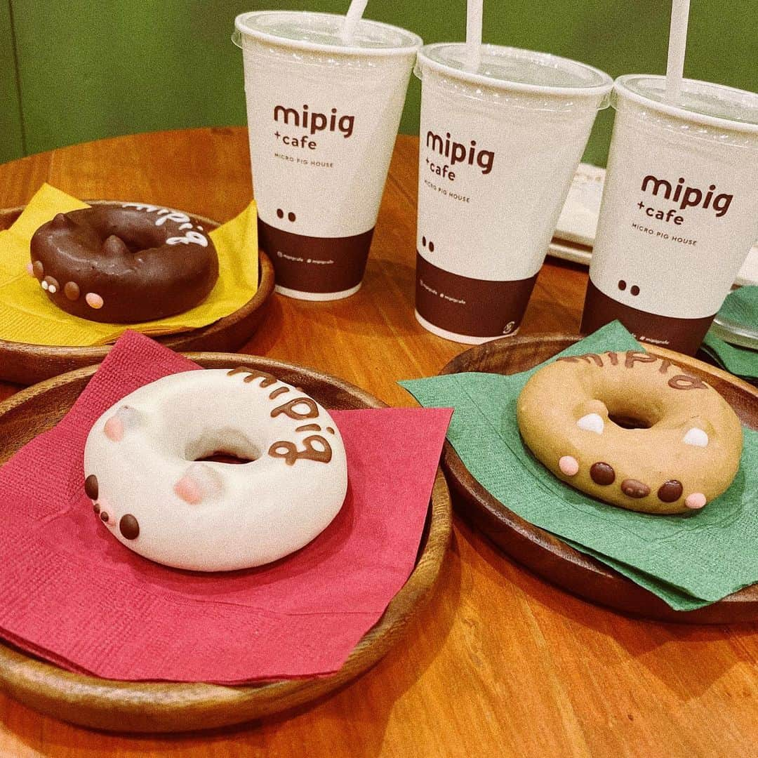 夏焼雅さんのインスタグラム写真 - (夏焼雅Instagram)「@mipigcafe 2号店が11/8（金）に﻿ 原宿にOpenするそうです🐷💕💕﻿ おめでとうございます🎊﻿ ﻿ 2号店は"マイクロブタさんの絵本のおうち" というコンセプトがあって外観や内装がと〜っても可愛かったです♡﻿ 原宿店限定のブタさんドーナツ🍩も可愛いかったから﻿ ドリンクと一緒に注文してみてね🍴﻿ ﻿ 目黒店に行ってからブタさんの虜だよぉぉぉ〜🐷💕💕💕💕﻿ 癒しスポットが増えて嬉しい♪﻿ ﻿ ブタさん達はとっても人懐っこくて名前を呼んであげると、  トコトコ寄り添ってきてくれる子もいます♪﻿ ぜひお友達と遊びに行ってみてね〜❤️﻿ ﻿ 🐖場所：東京都渋谷区神宮前1-15-4　﻿ バルビゾン76 原宿駅竹下口より徒歩2分﻿ ﻿ #harajuku﻿ #mipigcafe﻿ #ブタカフェ #原宿2号店」11月5日 22時03分 - miyaaa0825