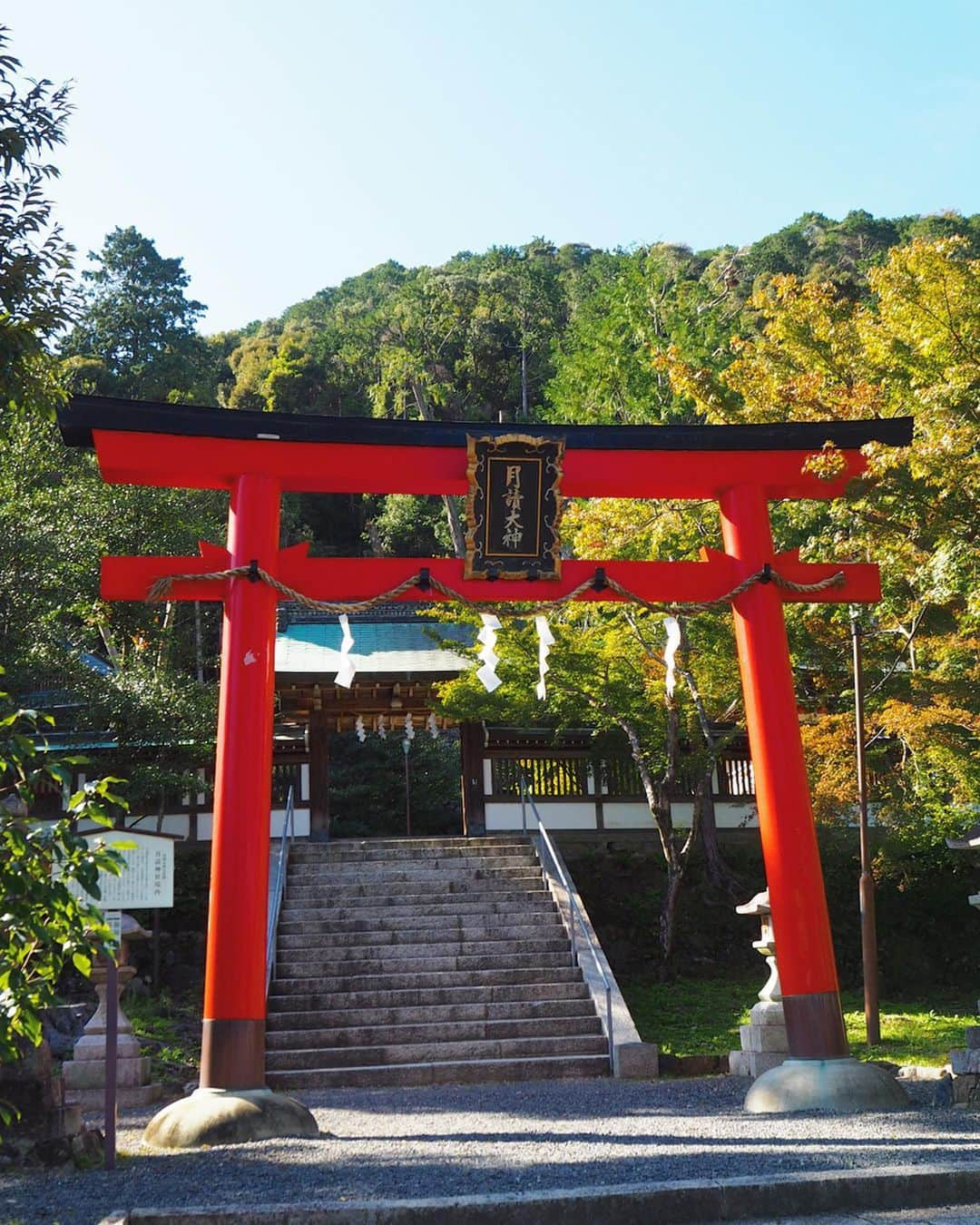 土屋香織さんのインスタグラム写真 - (土屋香織Instagram)「𖠁. 鈴虫寺-華厳寺 . ずーっとずーっと行ってみたかった鈴虫寺へ。 京都からもバスで1時間かかるみたいだから ちょっと行くの悩みましたが 鈴虫寺一本勝負。 嵐山から歩いてみました◡̈ . 去年の春に見た桜の景色の嵐山は🌸 色づき始めた紅葉の景色に🍁 . 嵯峨嵐山駅から3.5kmくらい歩いてようやく到着！ 階段に行列ができていたので システムがよくわからないまま とりあえず30分くらい並びました。 しばらくするとたくさんの人が降りてきて列が進み... お堂の中へ案内されると 綺麗な鈴虫の鳴き声が✨本当すごい！ しかも1年中育ててるってすごい！ 後で和尚さんからも言われましたが あまりに綺麗に大きく聴こえるものだから 録音かと思った人です🙋🏻‍♀️笑 お茶とお菓子をいただきながら 和尚さんのお話を聞きました。 もうね、遥々来て本当によかったと心から思いました。 お話が面白くって笑いっぱなし😂 ありがたいお話。色々考えること。 感動して涙が滲みました。 . こうしてここへ来れたこと 私のために時間を作ってくれる大切な人たち 感謝の気持ちでいっぱいです。 いつも本当にありがとう◡̈ . またここに ぜひお話を聴きに来たいな。 . お菓子の中に混じった黒いのは なんだろうと思いながら食べてたら それもまた和尚さんのツッコミがあり爆笑😂 . お話が終わったら お庭を一周して 草鞋を履いたお地蔵さんにお願いごと伝えて😌🙏🏻 娘の分もお守り買って帰りました。 . 素晴らしい時間が過ごせました⸜(๑⃙⃘'ᵕ'๑⃙⃘)⸝⋆︎* . 道中にあった 月読神社と松尾大社にもお参りして 次の場所へ✩︎⡱ . . . #そうだ京都行こう #鈴虫寺 #華厳寺 #嵐山 #渡月橋 #天龍寺 #月読神社 #松尾大社 #instalifestyle #retrip_kyoto #retrip_京都 #カメラ好きな人と繋がりたい #写真好きな人と繋がりたい #genic_japan #カメラ女子 #オリンパス倶楽部 #タビジョ #genic_pt #おでかけロカリ #webstapic #japan_of_insta #jp_gallery #far_eastphotography  #ig_japan #4yuuu #4meee #joytb #otonatabi_japan #jtbで旅したい #御朱印」11月5日 22時33分 - kaorintsuchiya