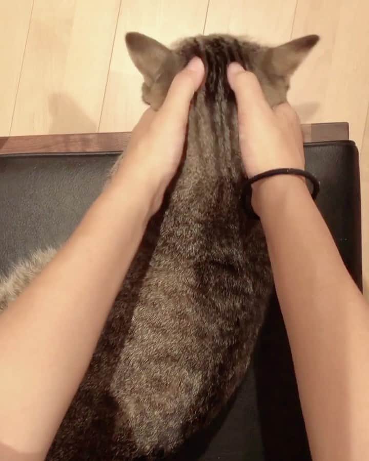 中山美香のインスタグラム