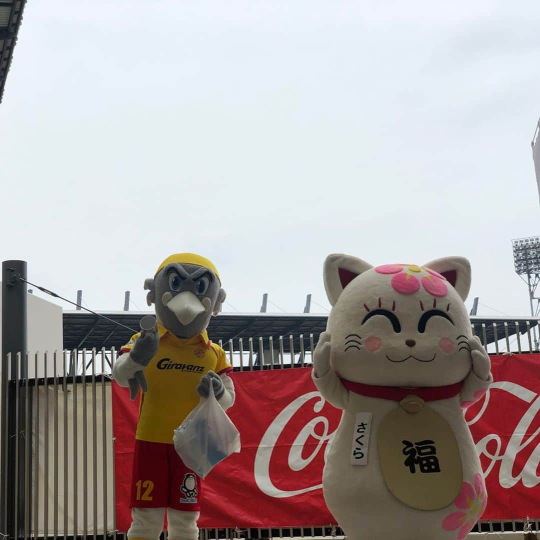 今井安紀さんのインスタグラム写真 - (今井安紀Instagram)「I went Mikuni World Stadium in Kitakyushu for the first time in a year. From the back stand seat, we could see a industrial district. And then we could see ocean from the stadium. I love Mojiko local craft beer...♡ And the mascot of Giravanz Kitakyushu “Giran” is still cool.  北九州のミクスタに約一年ぶりに行きました。 今回バックスタンドから見たのですが、ピッチの向こうに北九州工業地域らしき風景が見えるの良い。さらにバックスタンドの通路からは海が見え、海のボールパーソンこと万が一ボールが海ぽちゃした時の船が控えています。 一番の目的はマスコットのギランさんに会うことだったのですが、バルーンアートのギランさんを用意していてくれた…！これバルーンアートのクオリティ高すぎません？！ なんて感動してたら色々押し売りされました。笑 あと最後の一枚、嘘つくな！！！ (4枚目以外は加工なし、1〜5枚目はオリンパスPENで撮影)  #olympus #olympuspen #olympuspenepl9 #epl9 #nofilter #photolovers #noedit  #mikuniworldstadium #giravanz #giran #mojikobeer #オリンパス #オリンパスpen 加工なし #ミラーレス一眼 #写真撮ってる人と繋がりたい #ギラヴァンツ #ギラヴァンツ北九州 #ギラン #会鳥 #門司港ビール #ミクスタ #ミクニワールドスタジアム北九州」11月5日 22時54分 - i_am_akinyan0826