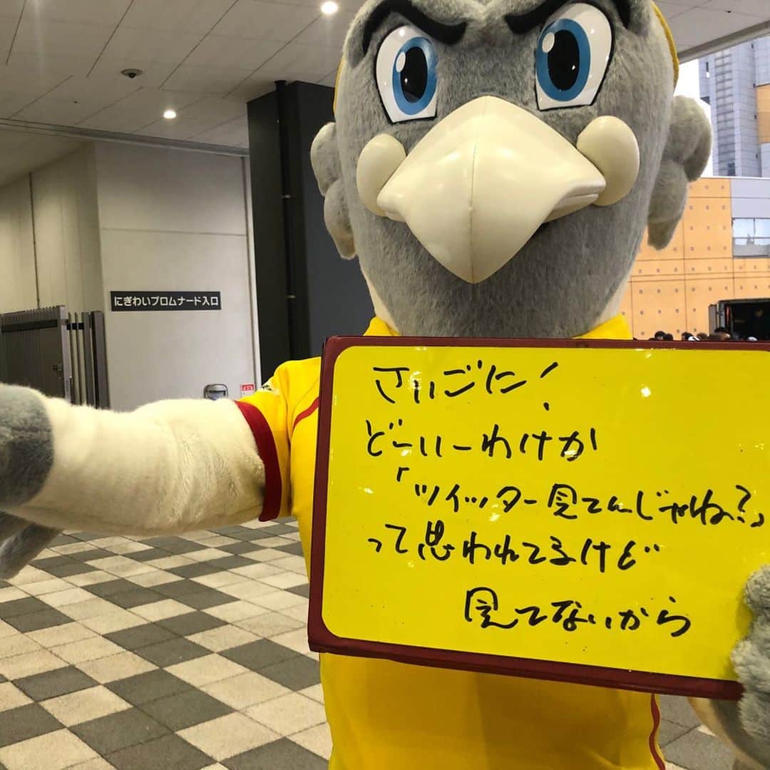 今井安紀さんのインスタグラム写真 - (今井安紀Instagram)「I went Mikuni World Stadium in Kitakyushu for the first time in a year. From the back stand seat, we could see a industrial district. And then we could see ocean from the stadium. I love Mojiko local craft beer...♡ And the mascot of Giravanz Kitakyushu “Giran” is still cool.  北九州のミクスタに約一年ぶりに行きました。 今回バックスタンドから見たのですが、ピッチの向こうに北九州工業地域らしき風景が見えるの良い。さらにバックスタンドの通路からは海が見え、海のボールパーソンこと万が一ボールが海ぽちゃした時の船が控えています。 一番の目的はマスコットのギランさんに会うことだったのですが、バルーンアートのギランさんを用意していてくれた…！これバルーンアートのクオリティ高すぎません？！ なんて感動してたら色々押し売りされました。笑 あと最後の一枚、嘘つくな！！！ (4枚目以外は加工なし、1〜5枚目はオリンパスPENで撮影)  #olympus #olympuspen #olympuspenepl9 #epl9 #nofilter #photolovers #noedit  #mikuniworldstadium #giravanz #giran #mojikobeer #オリンパス #オリンパスpen 加工なし #ミラーレス一眼 #写真撮ってる人と繋がりたい #ギラヴァンツ #ギラヴァンツ北九州 #ギラン #会鳥 #門司港ビール #ミクスタ #ミクニワールドスタジアム北九州」11月5日 22時54分 - i_am_akinyan0826