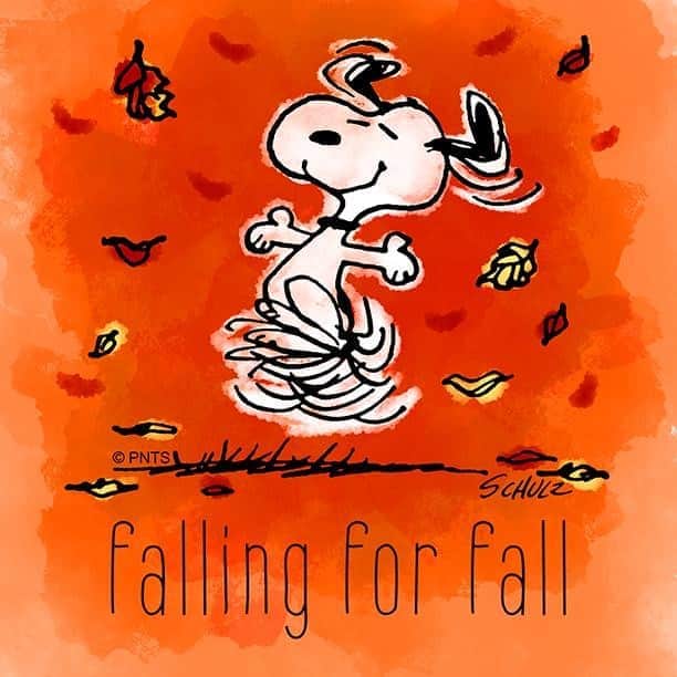 スヌーピーさんのインスタグラム写真 - (スヌーピーInstagram)「Fall ❤️」11月5日 23時28分 - snoopygrams