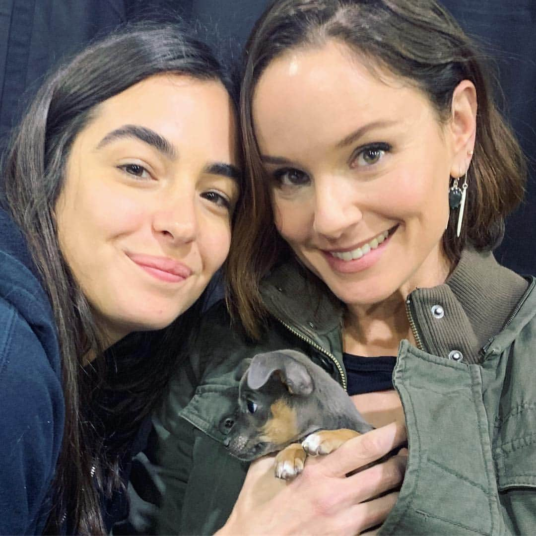 サラ・ウェイン・キャリーズさんのインスタグラム写真 - (サラ・ウェイン・キャリーズInstagram)「the whole puppy is smaller than my forehead. 🐶」11月6日 0時15分 - sarahwaynecallies