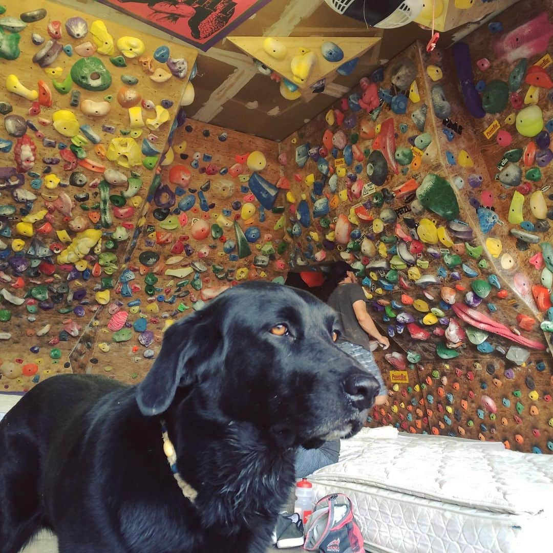 ミーガン・マスカリーナスのインスタグラム：「The pit. ♥️ @snugharborthreads  #climbing #bouldering」