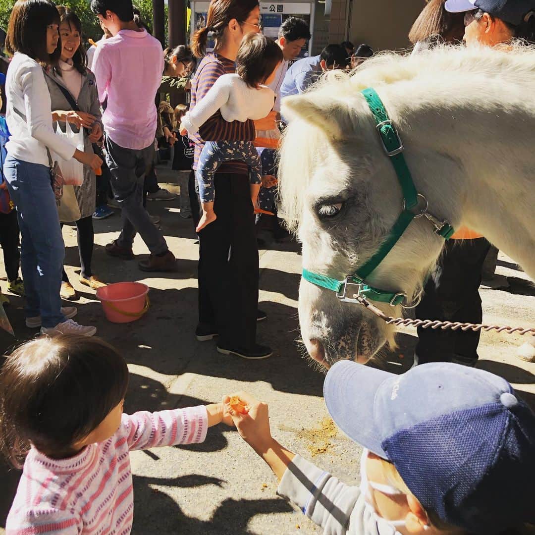 浅川稚広さんのインスタグラム写真 - (浅川稚広Instagram)「『初めての乗馬体験🏇』 久しぶりに代々木ポニー公園へ行ってきました💓 祝日だからか、今まで見た事ないくらい、公園内が混雑している…ポニーに乗る列も、20人待ちくらい💦 でも、娘にとってはこれが初めての乗馬体験になるので、子供達は中でお絵描きしていてもらい、並ぶ事30分ほど。ようやく順番がやってきました🌟 先にお兄ちゃんにお手本を見せてもらい、その後、いよいよ妹の番… 寝る前に言い聞かせしていたからか、あまり怖がることもなくすんなり🏇ポニーに乗ってくれました💓 更にそのあとの餌やりでは、持参した人参スティックをお馬さんにどうぞ🥕できました♬ 楽しかったね☺️💕 #娘２歳６ヶ月 #初めての乗馬体験  #代々木ポニー公園 #餌やりタイム🥕」11月6日 4時14分 - chiffy1110