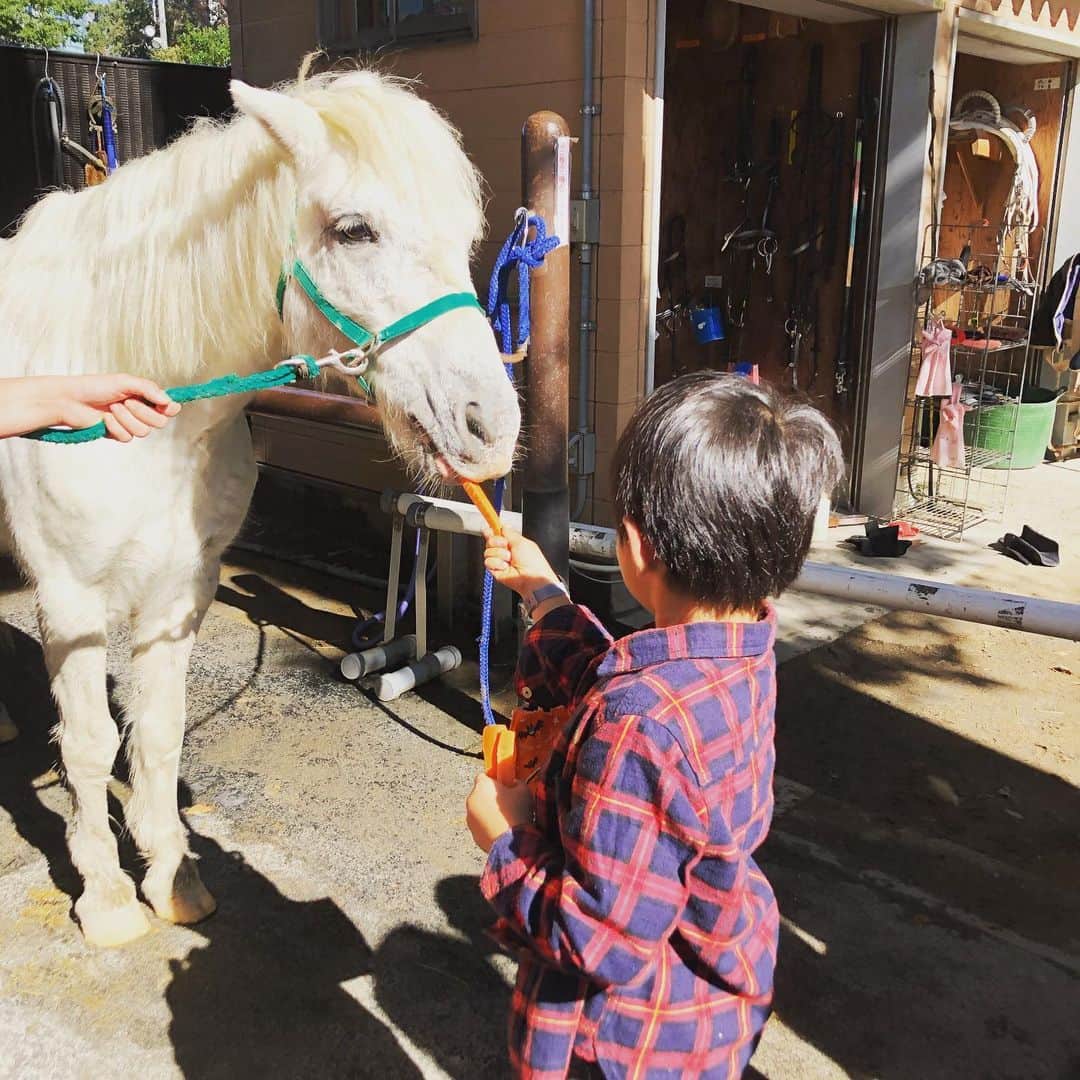 浅川稚広さんのインスタグラム写真 - (浅川稚広Instagram)「『初めての乗馬体験🏇』 久しぶりに代々木ポニー公園へ行ってきました💓 祝日だからか、今まで見た事ないくらい、公園内が混雑している…ポニーに乗る列も、20人待ちくらい💦 でも、娘にとってはこれが初めての乗馬体験になるので、子供達は中でお絵描きしていてもらい、並ぶ事30分ほど。ようやく順番がやってきました🌟 先にお兄ちゃんにお手本を見せてもらい、その後、いよいよ妹の番… 寝る前に言い聞かせしていたからか、あまり怖がることもなくすんなり🏇ポニーに乗ってくれました💓 更にそのあとの餌やりでは、持参した人参スティックをお馬さんにどうぞ🥕できました♬ 楽しかったね☺️💕 #娘２歳６ヶ月 #初めての乗馬体験  #代々木ポニー公園 #餌やりタイム🥕」11月6日 4時14分 - chiffy1110