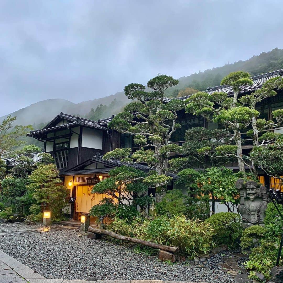大桃美代子さんのインスタグラム写真 - (大桃美代子Instagram)「伊豆のお宿、  東府や　Resort & Spa-Izu  創業400年の老舗旅館がリノベーションして、  宿泊者以外にもカフェを開放。  3.6万坪の敷地に、贅沢な環境。  台風に負けず営業中。  日本の温泉の良さを再認識した  温泉リゾートでした。  詳しくは、11／6日のブログで。  プロフィールから飛んでくださいね  YouTubeは  東府や　resort & SPA-izu https://youtu.be/Rv_bH31KvLI です。^_^ #東府や #修禅寺駅 #東府やベーカリー #温泉#温泉リゾート#cafe#伊豆カフェ #吉奈温泉 #東府やresortandspa #静岡#鉄旅 #鉄子#一歩先を歩く#タビジョ#大桃美代子#中伊豆ワイナリー20周年コンテスト#sagojyoinsta#sagojar」11月6日 5時16分 - miyoko_omomo