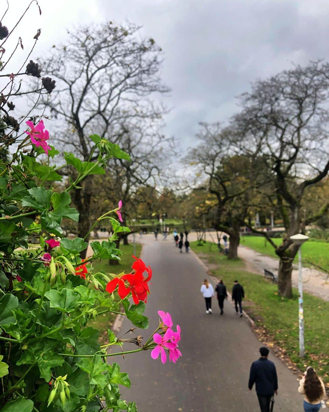 エリカ・ファサナさんのインスタグラム写真 - (エリカ・ファサナInstagram)「• Il mondo è un libro e chi non viaggia ne conosce solo una pagina •❣️🌍 #Amsterdam」11月6日 5時13分 - erika_fasana