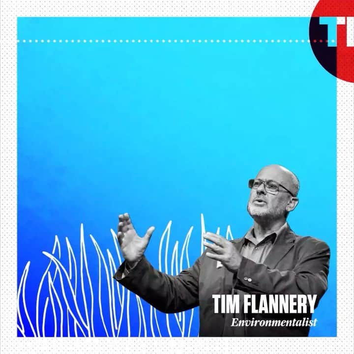 TED Talksのインスタグラム：「Can seaweed save the world? Environmentalist Tim Flannery thinks so! Seaweed has epic carbon-capturing potential, meaning that it functions a lot like a forest and can trap carbon before it enters our atmosphere. But unlike forests, seaweed can grow a meter a day and doesn’t face the carbon-releasing risks (like fires and bugs) that trees experience. All of this might sound a little bonkers, but visit the link in our bio to watch Tim’s TED Talk and learn more about this potentially planet-saving solution.」