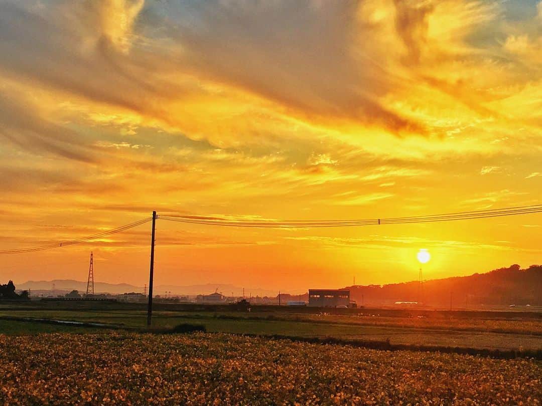 みりどる乙夜さんのインスタグラム写真 - (みりどる乙夜Instagram)「益城FLBFの帰り道、あまりに綺麗な夕焼けと彩雲だったので、車を停めていただいて撮りました。熊本の夕焼け空。  #sunset #sunsets #beautifulsunset #sunshine #beautiful #beautifulworld #instatravel #travel #travelphotography #travelgram #sky #sky_perfection #orangesky #businesstrip #japantrip #japan #japan_bestsunset #iridescentclouds #cloudbow #ruralscene #landscape #旅 #夕焼け #彩雲 #虹 #田園風景 #風景 #出張 #空 #落日」11月6日 15時16分 - itsuya_miridoru