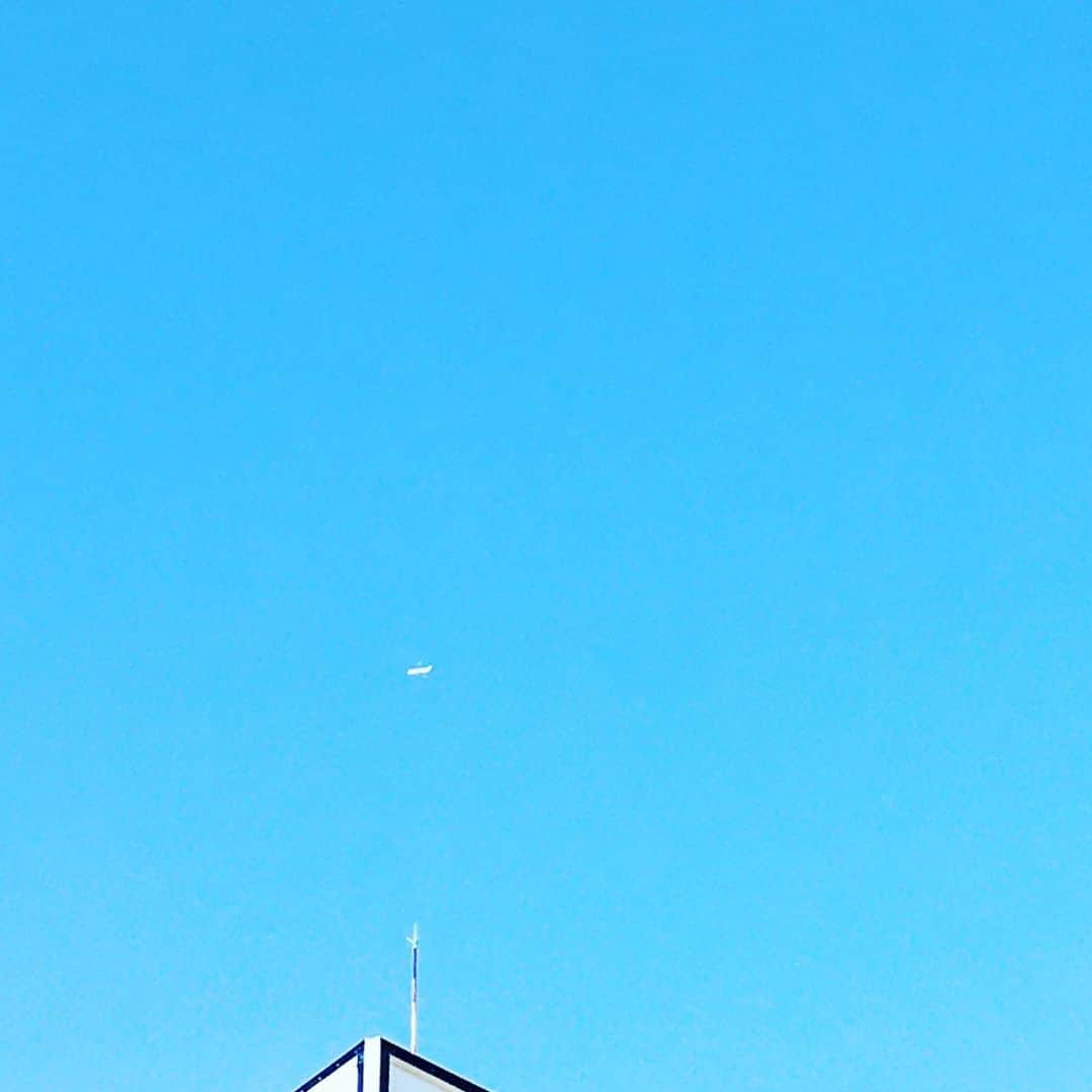 のインスタグラム：「誰が決めたのかはわらないけど、空が青くてよかったなと、青空を見上げるたびに思うのです。  赤や紫や黄色じゃなくて。  青はあらゆる痛みを吸い上げて、こなごなにしてくれる。  #東京下町時間」