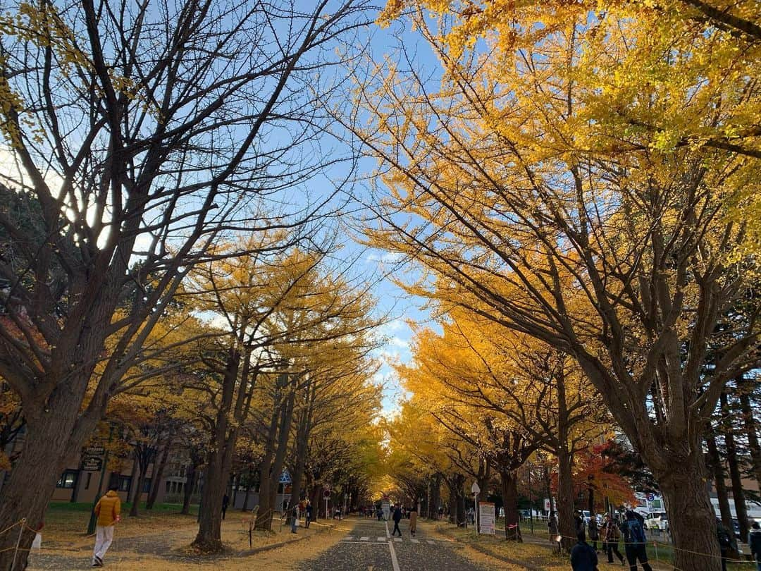 桃さんのインスタグラム写真 - (桃Instagram)「初めての彼氏との旅行は、2泊3日の北海道旅行でした✈️ 1日目は札幌、2日目は定山渓温泉に泊まりました♨️ 札幌の銀杏並木がちょうど紅葉シーズンで綺麗で温泉も宿が最高すぎて、初めての旅行、大満足という感じでした☺️❤️ #北海道　#札幌　飛行機は　@skyticket.jp で、宿は　@relux_jp で予約しました。 #クロスホテル  #厨翠山　#北海道大学　#銀杏並木　#〆は空港であじさい　#一幻の並び方尋常じゃなかった」11月6日 15時39分 - momo.official