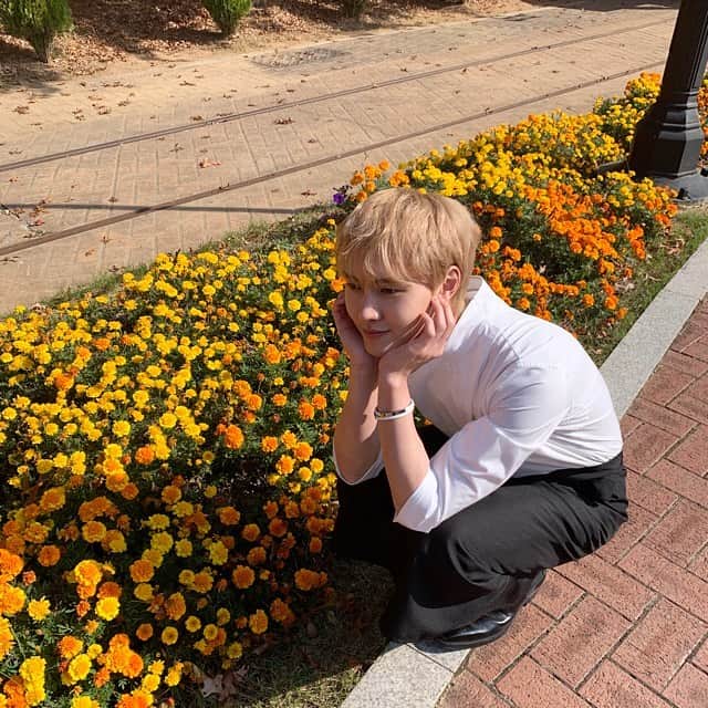 イ・ミンホのインスタグラム：「능소화 말고 미채화」