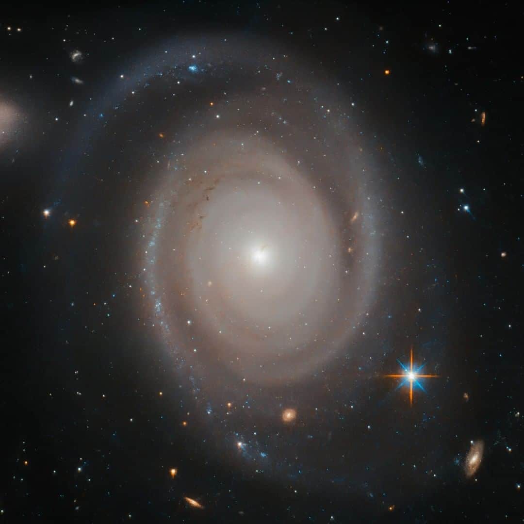 NASAさんのインスタグラム写真 - (NASAInstagram)「Not all galaxies are lonely. Some have galaxy squads. ⁣ ⁣ NGC 1706, captured in this image by @NASAHubble, belongs to something known as a galaxy group, which is just as the name suggests — a group of up to 50 galaxies which are gravitationally bound and relatively close to each other. ⁣ ⁣ Our home galaxy, the Milky Way, has its own squad — known as the Local Group, which also contains the Andromeda galaxy, the Large and Small Magellanic clouds and the Triangulum galaxy. Click the link in the bio for more info ⬆️⁣ ⁣ Image credit: ESA/Hubble & NASA, A. Bellini et al.⁣ #galaxy #squadgoals #hubble #cosmos #universe」11月6日 7時25分 - nasa