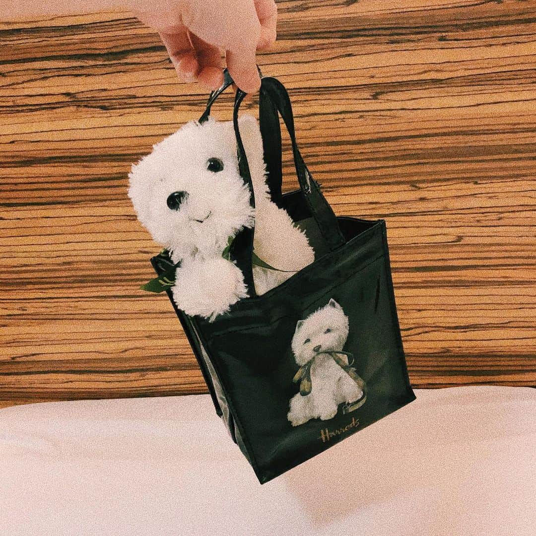 ユウキさんのインスタグラム写真 - (ユウキInstagram)「HAPPY PUPPY BAG🐶💞 ちっちゃいカバンがグー！ #harrods #puppy #londonfashion」11月6日 7時28分 - yuukichan2