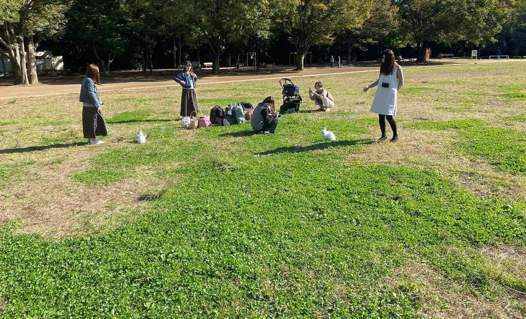 BUNNY?TUNA? さんのインスタグラム写真 - (BUNNY?TUNA? Instagram)「2019/11/6🐰🐰🐰🐰🐰🐰🐰 #ブロークンネザー会 に久しぶりに参加させていただきました〜😚✨ ウチは子連れで家族で参加ですがもう本当皆様優しい方たちばかりで🙇🏻‍♂️💦 何も準備してなかったですけど色々お借りして写真を撮ってきました😚🐰 美味しいご飯を食べたあと散歩へ〜✨ ツナはお年頃なのか😅あまりみんなに近付けられなかったので、いつか落ち着く日を楽しみにしています🤣 最近インスタあまり更新できていなかったですが、声をかけてもらえてありがたいです🙇🏻‍♂️💦 皆さまありがとうございました〜😊 . #レジェンドと#ツナは元気すぎ #ネザーランドドワーフ#ツナ#TUNA#うさぎ#ふわもこ部#うさぎ部#うさぎのしっぽ#ペット#netherlanddwarf#bunnystagram#rabbit#lapin#cutebunny#bunnylove#bunnies#pet#petgram#rabbitstagram#japan#kawaii#weeklyfluff#cutepetclub#instapets#instabunnies#animallovers @junkuwana55」11月6日 8時00分 - bunny_tuna