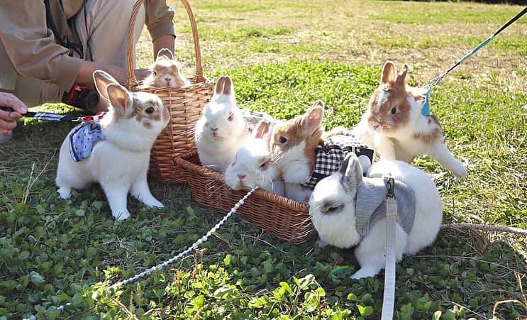 BUNNY?TUNA? のグルメインスタ