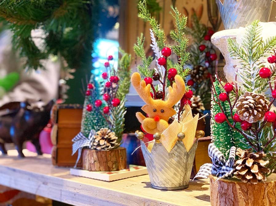 LECT レクトさんのインスタグラム写真 - (LECT レクトInstagram)「11月に入り、店内の至る所でクリスマスムードが高まっています。こちらは広島T-SITE 1階にあるアンドゥープランツ。ぜひ今のうちからクリスマス準備を楽しんで。 #lect #レクト #undeuxplants #アンドゥープランツ #安藤花店 #お花屋さん #christmas #クリスマス #クリスマス雑貨 #インテリア #緑のある暮らし #花のある暮らし #広島雑貨屋 #広島」11月6日 8時18分 - lect_hiroshima
