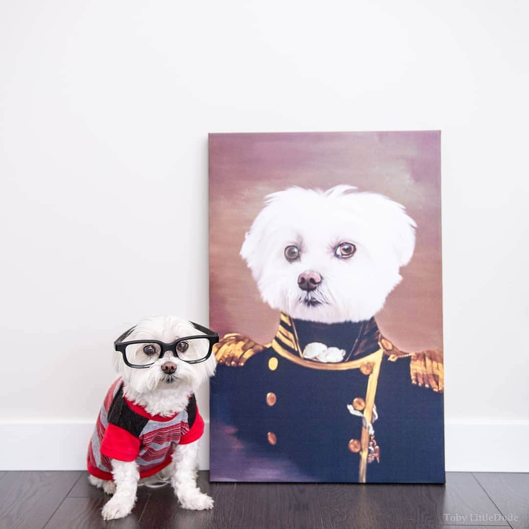 Toby LittleDudeのインスタグラム：「#ad Loving my portrait from @crownandpaw. I look so handsome! #crownandpaw makes it so easy to create your very own Renaissance masterpiece. Just select your portrait style, upload your photo and their artists will do the rest. Use code TOBYLITTLEDUDE for 15% off.」