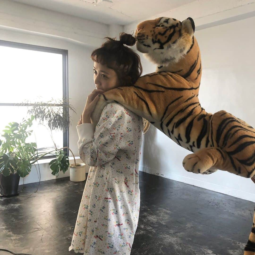 三戸なつめさんのインスタグラム写真 - (三戸なつめInstagram)「🐯 #mito_natsume」11月6日 9時37分 - mito_natsume