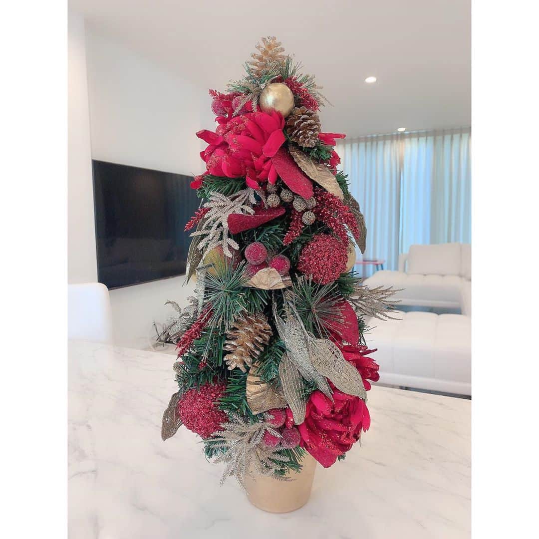 川崎希さんのインスタグラム写真 - (川崎希Instagram)「ミニクリスマスツリー💓💓💓 クリスマスツリーを綺麗に飾りたくてお部屋掃除を念入りにしたよ笑  #chrismastree #リビング」11月6日 11時38分 - kawasakinozomi