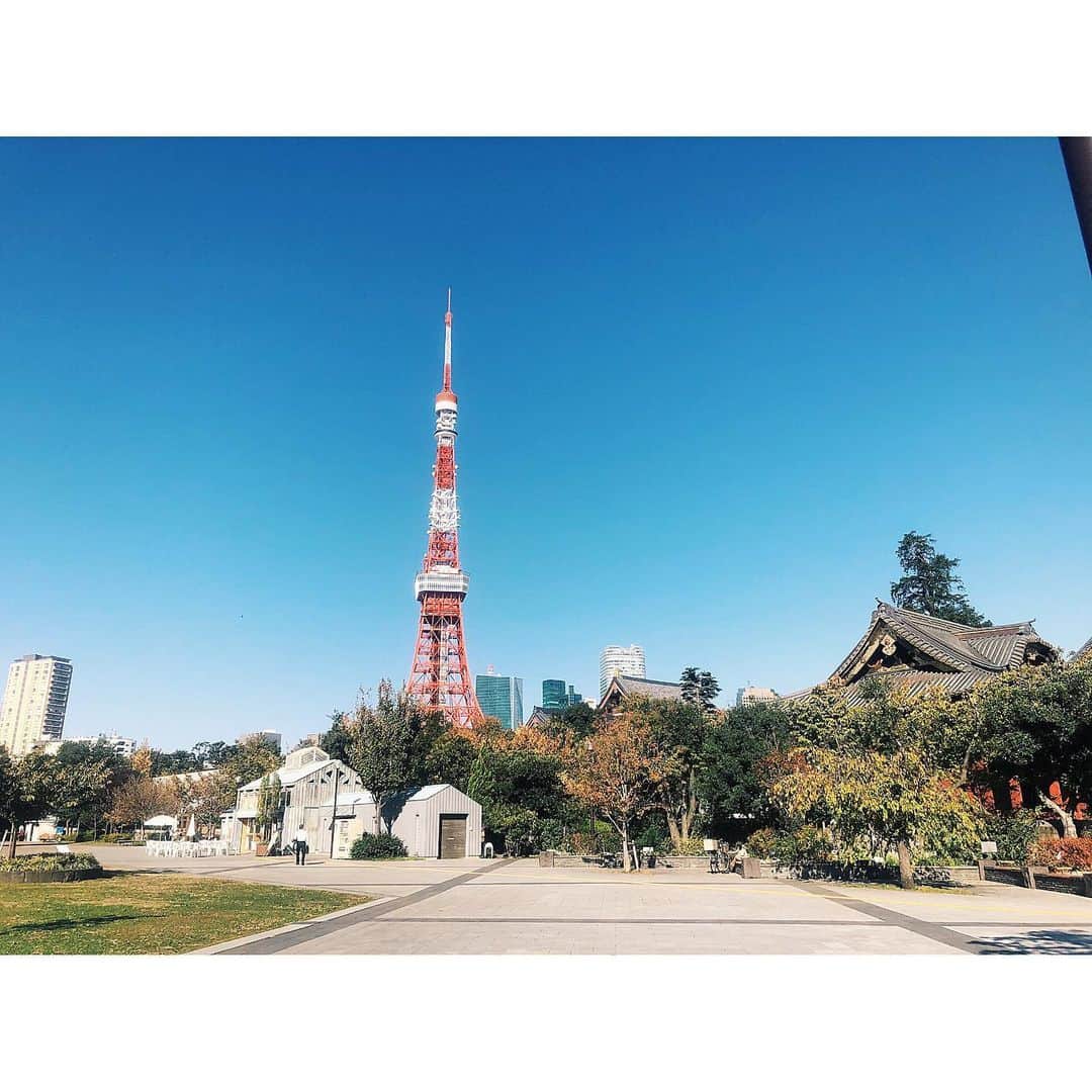 のインスタグラム：「It's lovely weather today🌞 ⁑ #tokyo #tokyotower #東京タワー #東京#増上寺 #空#芝公園  #まりなる#津田麻莉奈」