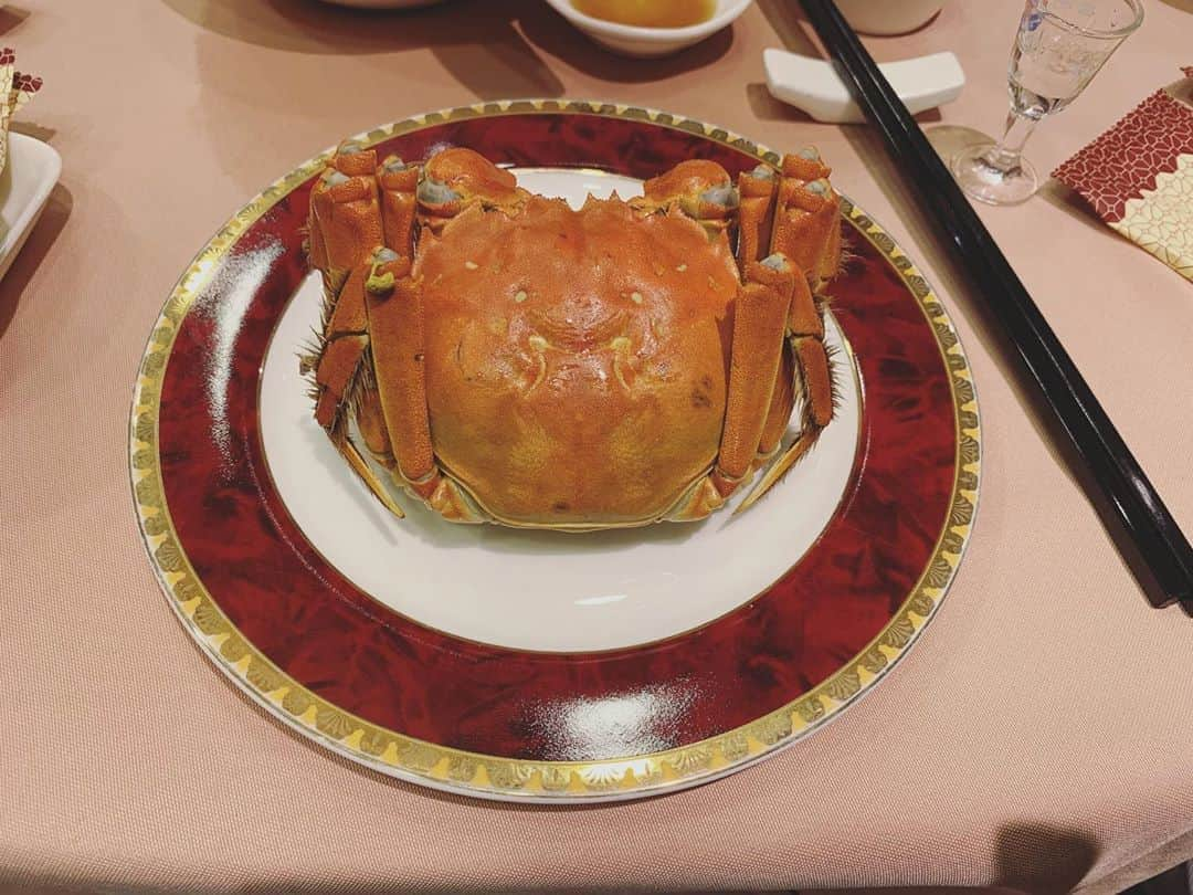 山本真由美さんのインスタグラム写真 - (山本真由美Instagram)「. 上海蟹 . . . の、季節🦀♥️ . . 吃大闸蟹的季节到了！ . . #10月の出来事  #上海  #shanghai  #shooting #japan  #camera #photography  #上海 #リスモン #円卓 #china  #中国 #利墨 #演员 #撮影 #tvshow  #likeforfollow #isseymiyake  #蟹 #上海蟹 #crab #eat #season #雌 #雄 #かにぽーず ✌︎('ω')✌︎ #スケバン刑事 #lucky」11月6日 12時28分 - mayumi_yamamoto.official