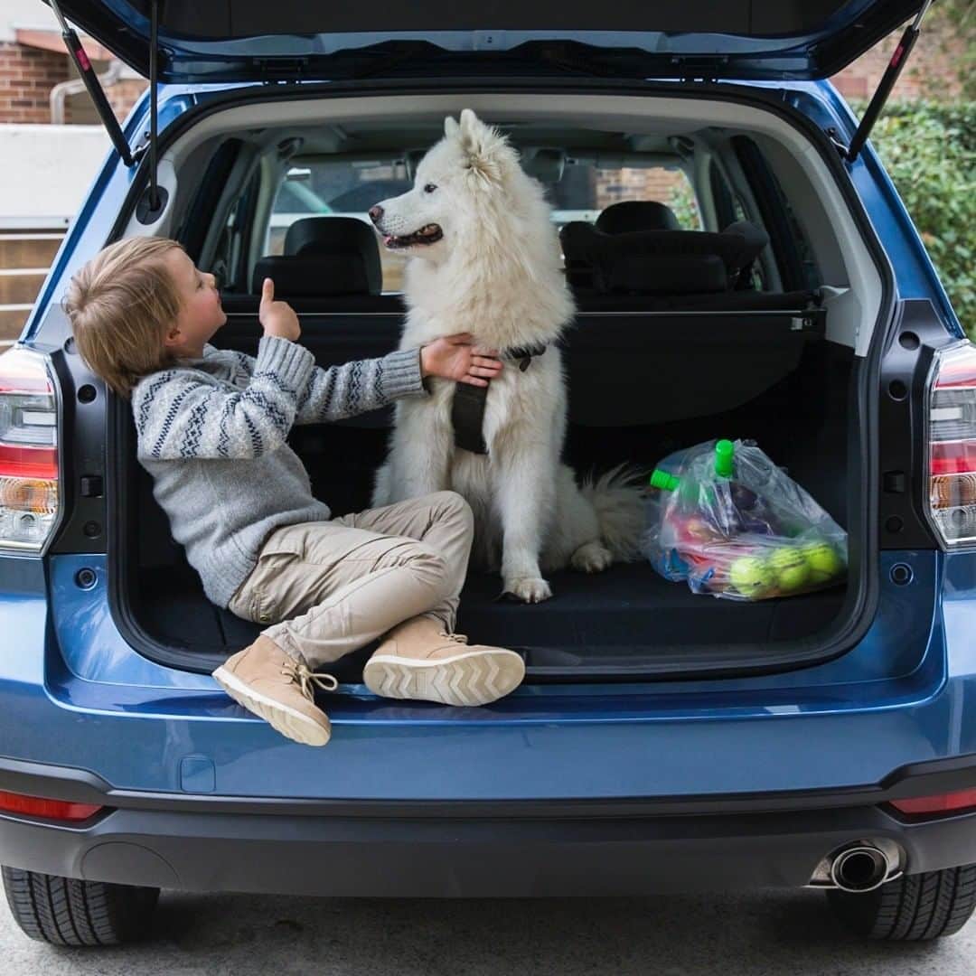 のインスタグラム：「When we say the Forester is made for family, we mean the whole family! 🐶 Nothing beats taking your furry friend to the dog park for some off-the-leash F.U.N.  #OneLittleMoment #furryfriends #family #Subaru #SubaruAWD」
