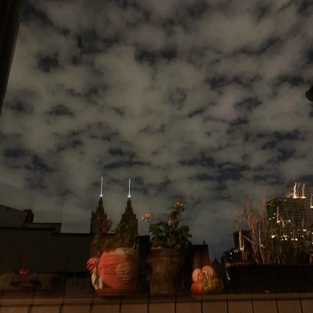 JULIEN D'YSさんのインスタグラム写真 - (JULIEN D'YSInstagram)「⭐️Magic #newyork 🌟pensée pour Peter 💫@therealpeterlindbergh 🙏🏻 #11.05.19#sky ☁️☁️☁️☁️☁️✨✨✨✨✨✨✨✨✨✨✨✨✨✨✨✨✨✨✨」11月6日 13時16分 - juliendys