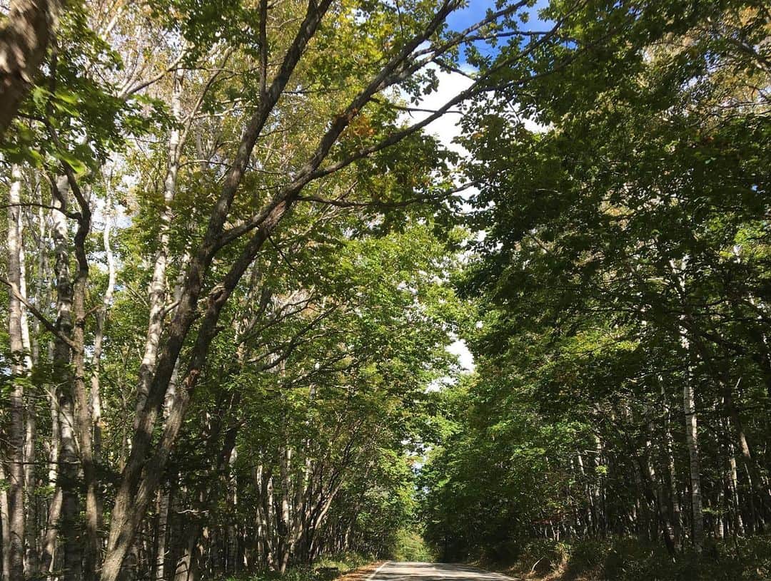 山崎丹奈さんのインスタグラム写真 - (山崎丹奈Instagram)「マイナスイオンたっぷり補充できたお休み。新鮮な空気、土や木々の香り、水面の揺れ、何も考えずにぼーっとしてきました。呼吸するだけの時間を受け入れてくれる。すき。」11月6日 13時31分 - ninayamazaki