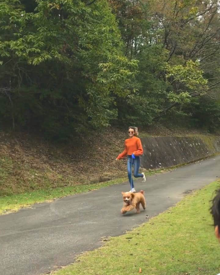 難波サキのインスタグラム