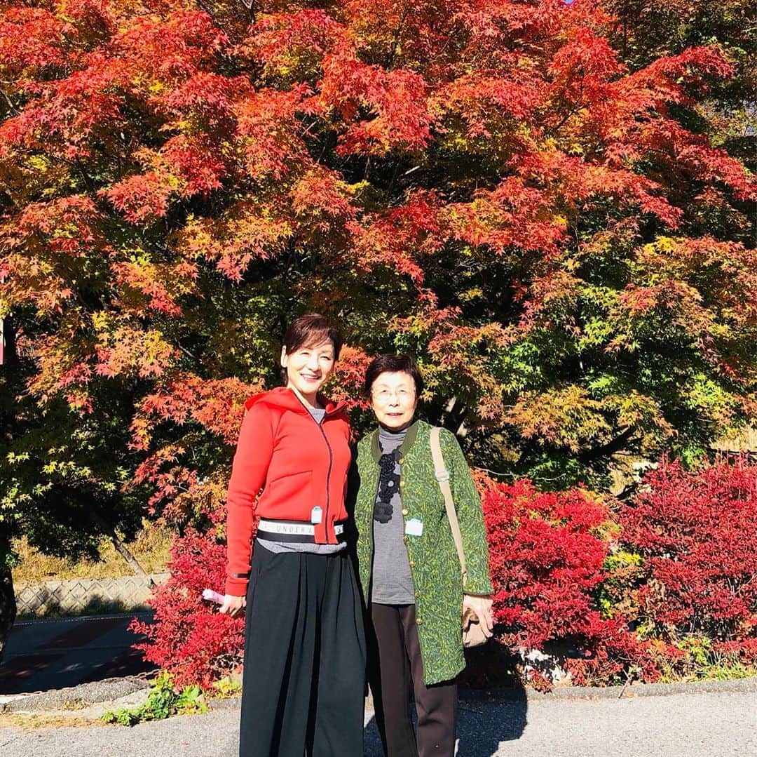 金田久美子のインスタグラム：「母と日帰りバスツアーで山梨へ行ってきました🚌 本当にお天気が良くて気持ち良かったー。 #紅葉がきれい #バスツアー #萌木の村 #幸せの丘ありあんす #象牙彫刻美術館」