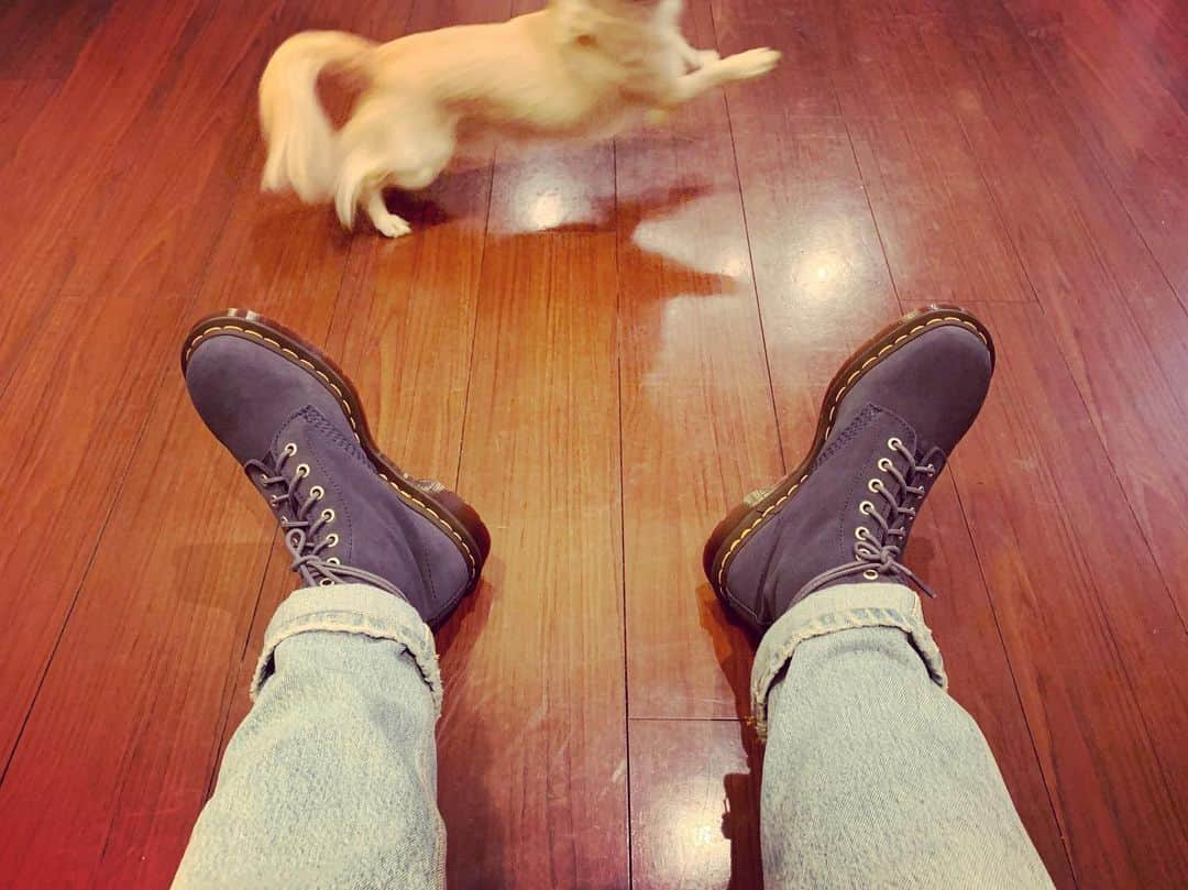 清春さんのインスタグラム写真 - (清春Instagram)「濃いブルーの スウェードのマーチン  #drmartens  #8hall #ombreblue」11月7日 1時32分 - kiyoharu_official