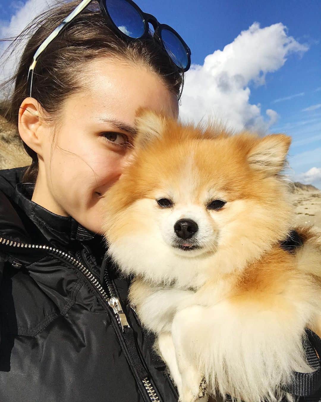 のインスタグラム：「We have been calling Tayto “baby Simba” and I think he’s lukewarm about it... but he got to go to his favorite place (the beach!) so I think he’s willing to endure the new nickname 😏🐶💕」