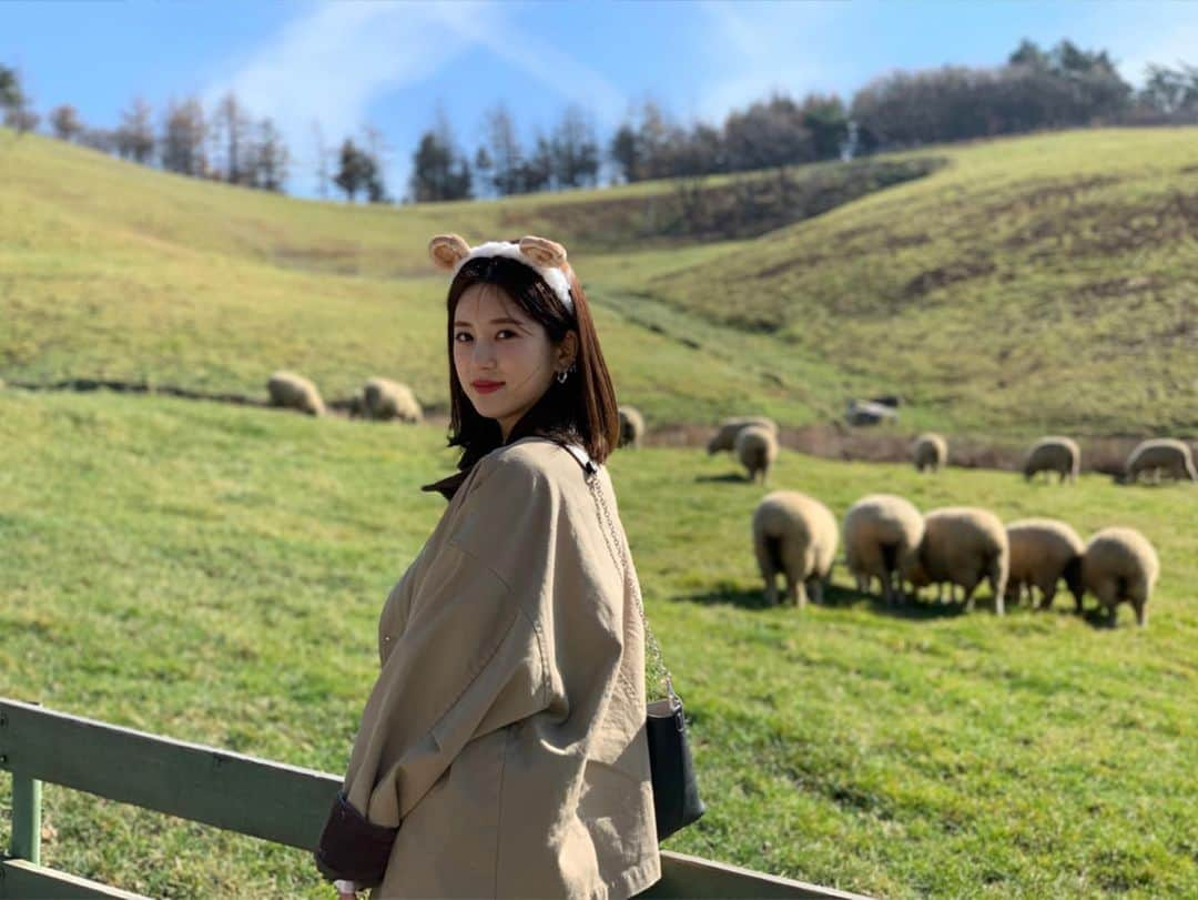 パク・チョロンさんのインスタグラム写真 - (パク・チョロンInstagram)「양만나서 신난 양띠🐑 photo by. 빵이」11月6日 17時24分 - mulgokizary