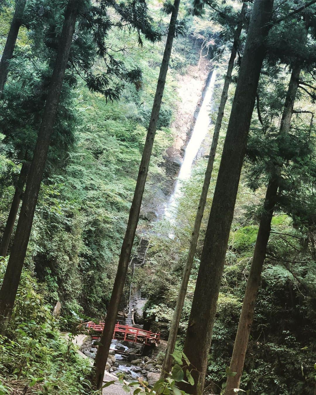 亀山耕平さんのインスタグラム写真 - (亀山耕平Instagram)「洒水の滝&ありがたぁ〜い誰かのお言葉。  #洒水の滝 #世の中よりあなたの中に答えはある #成功する人は前進し続ける #失敗もするが途中で投げ出すことはない」11月6日 17時41分 - kohei.kameyama