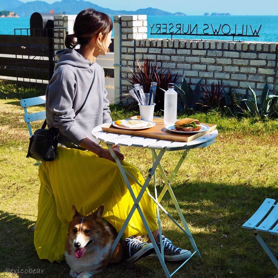 ericoのインスタグラム：「✩ しまなみ海道ドライブ 力丸と一緒にランチできるところ! ということでたどり着いた 向島のWILLOWS NURSERY 全部がテラス席  お店の前が海で 天気もよかったので気持ちいい\ ♪♪ / ✩ Shimanami Kaido is a famous tourist spot rich in natural beauty.We had a great ocean view from the restaurant✨ ✩ #しまなみ海道 #向島 #willowsnursery #パンケーキ  #それいけ力丸くん #コーギー  #犬のいる暮らし#pembrokewelshcorgi  #corgistagram #barked #dogsofinstagram #buzzfeed #corgisofinstagram  #dailyfluff #9gag #weeklyfluff #dogstagram」