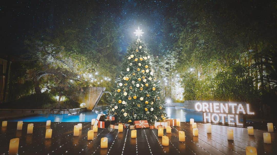 のインスタグラム：「. 今年もクリスマスシーズンが近づいてきました🎄 17F「MAIN DINING by THE HOUSE OF PACIFIC」では、 クリスマス前の12月4日〜22日の間、この時期限定の「アーリークリスマスコース」をご用意。 また、12月23・24・25日のクリスマス本番は、ORIENTAL HOTEL全体で4つの特別なディナーシーンをご提供します。 ご来館の全ての皆様にお楽しみいただけるクリスマスコンテンツも、是非お楽しみに。 . 詳しくはプロフィールTOPのURLへ。 . Its beginning to look a lot like Christmas!🎄 _ And we have a lot of exciting news to share with you! _ We are happy and proud to share with you all of our special events happening during everyones favorite holiday season. _ First off we start with an Early Christmas course planned from Dec. 4th to 22nd for those who already have plans during Christmas week.  Followed by 4 special dinner courses spread across 3 days from Dec. 23rd to the 25th, each with its own unique touch. _ Visit the topics tab on our homepage from the link in the bio above for more info and reservations. _ We look forward to making your Christmas extra magical this year! _ ＃最高のクリスマスの過ごし方 ＃夢を叶えるレストラン #xmas2019 #xmasatohk #クリスマスディナー #神戸 #omotenashihotels #orientalhotelkobe #orientalhotel #オリエンタルホテル #オリエンタルホテル旧居留地 #旧居留地」