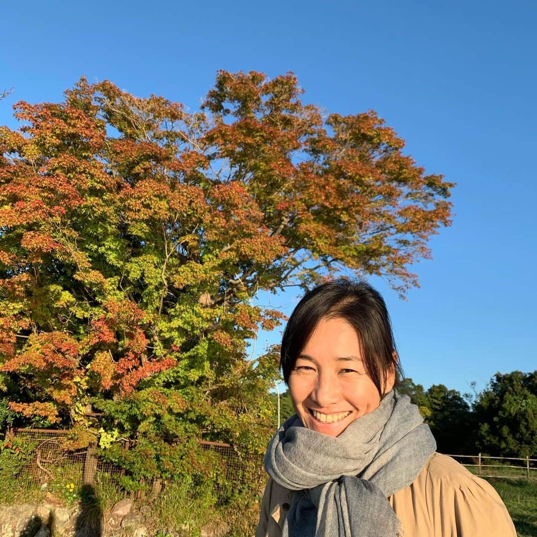 のインスタグラム：「屋島から眺める夕日。 なんて贅沢な時間。 #伊達公子 #kimikodate #テニス #テニスプレーヤー #テニスプレイヤー #tennis #tennisplayer #instatennis #instasports #香川 #高松 #屋島 #夕日 #夕陽」