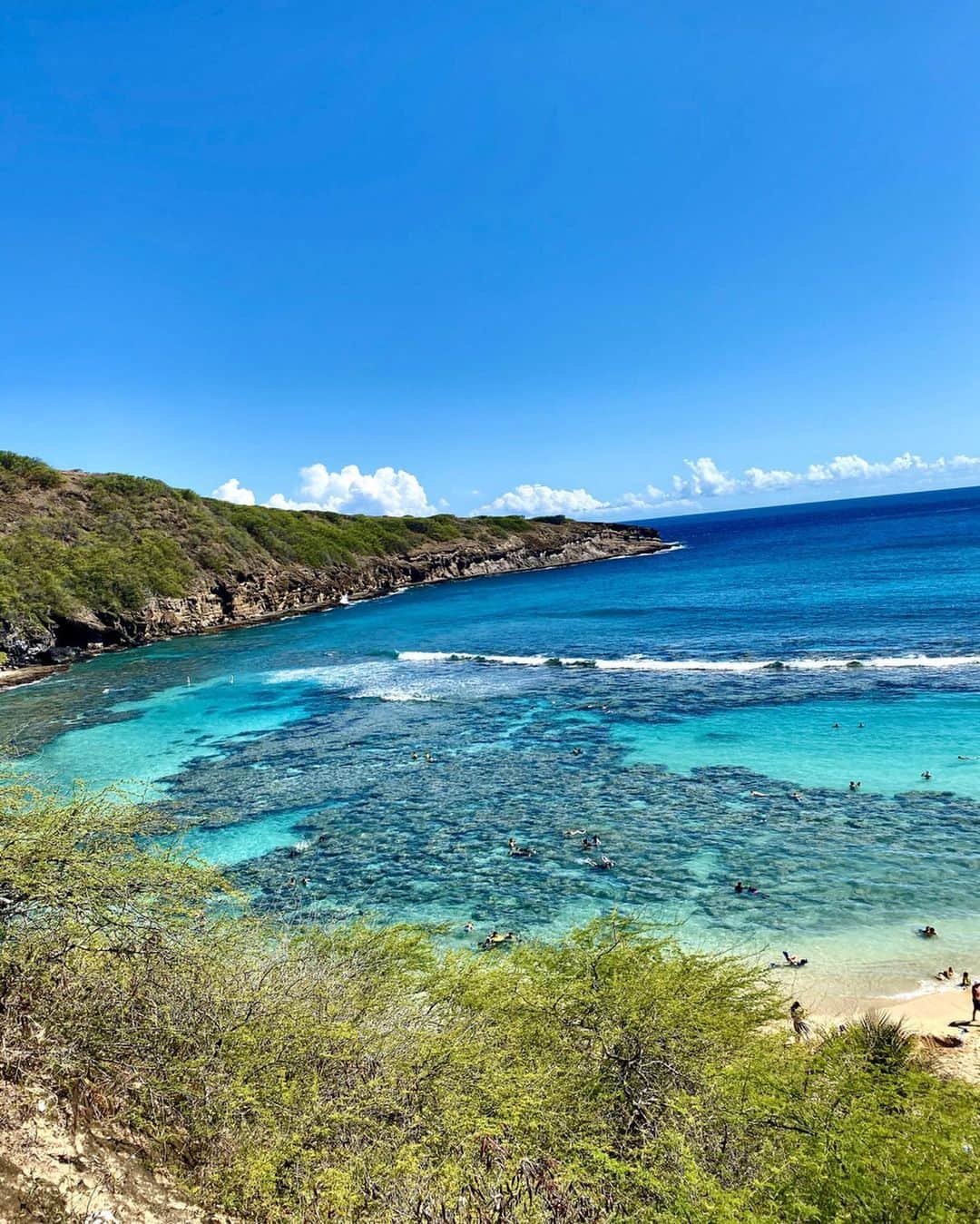 上原歩さんのインスタグラム写真 - (上原歩Instagram)「シュノーケルしたあとゴーグルの跡が1日とれません。 コラーゲン不足？むくみ？🐼 ・ 初めて中に入ったハナウマ湾 自然保護区になってるここは入場料があるのだけどハワイの海でもなかなかお目にかかれない海の世界に出会える場所🐠 ・ ワイキキ近辺でもシュノーケルしてみたけど、ひとつも見つからなかった ここではピンク、黄色、薄紫、赤の珊瑚が見られるんです🌈 とわいえ多くの珊瑚が白化していて その中に点在する珊瑚は本当に美しくってここの全てこの美しい珊瑚ならどんな景色だったろう、、と想像しました。 白化の原因の１つに私たちが使う日焼け止めにあるそうです。 私は肌が弱いので強めにプロテクトしてくれる日焼け止めをつけると必ずブツブツが出るのでもうオーガニックか98%自然由来のものしか使っていないのだけど、それだと全くブツブツが出ない☺︎ ダメな成分は書かないけどシンプルに。 科学的な強い成分より、私たちの肌に乗せても問題ない自然からできたもの。 て感覚で良いのかも🥥 たくさんの魚とわずかな美しい珊瑚を肉眼でみたら、どうにかこのまま、って気持ちになった。 大きな事はできないけど、小さな選択の変化なら自分でもできる。 当たり前だけど、生きてるのって人間だじゃないんだよね😊 魚も貝も動物も植物も山も海も全部生きてる。 日本のビーチもどんどん砂浜がなくなっていってる 点ではなくて線なんだよね。 まだ見ぬ自分の子供にも美しい世界をたくさん見せたい🌈 それまでは私が美しい世界をたくさん見る🌏 そういう人生がいい😄 ハワイに行く機会があったらぜひ足を伸ばしてみて！とっても美しいから👍 ・ #love #hawaii #travel #trip #life #sea #happy #hanaumabay #instagood #prでもなんでもないよ #ただのシュノーケル好き」11月6日 18時40分 - ayumiuehara