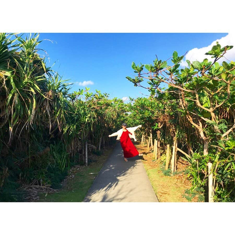 浜崎美保さんのインスタグラム写真 - (浜崎美保Instagram)「夏休み🌺🌺🌺 ・ ・ ・ ・ ・ ・ #夏休み #南国 #🌴 #🌺」11月6日 19時05分 - mihohamasaki_japan