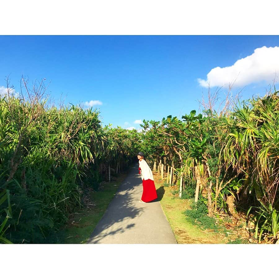 浜崎美保さんのインスタグラム写真 - (浜崎美保Instagram)「夏休み🌺🌺🌺 ・ ・ ・ ・ ・ ・ #夏休み #南国 #🌴 #🌺」11月6日 19時05分 - mihohamasaki_japan