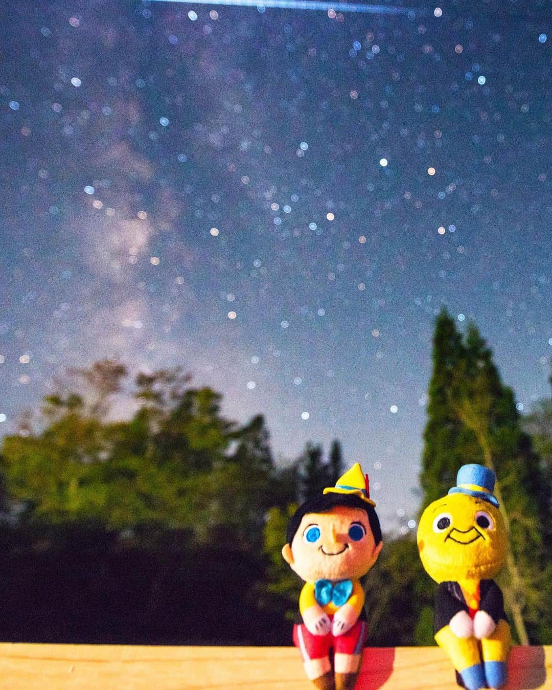 ちょっこりさん【公式】のインスタグラム：「#20191106 * きれいで澄んだ秋の星空 願いがかないますように・・！ * #ちょっこりさん #ディズニー#ディズニーグッズ #ぬい撮り#ぬいぐるみ #chokkorisan#disney #takaratomyarts #ぬいぐるみと撮り隊 #disney写真部 #ディズニーグッズ #ちょっこりさん好きな人とつながりたい」