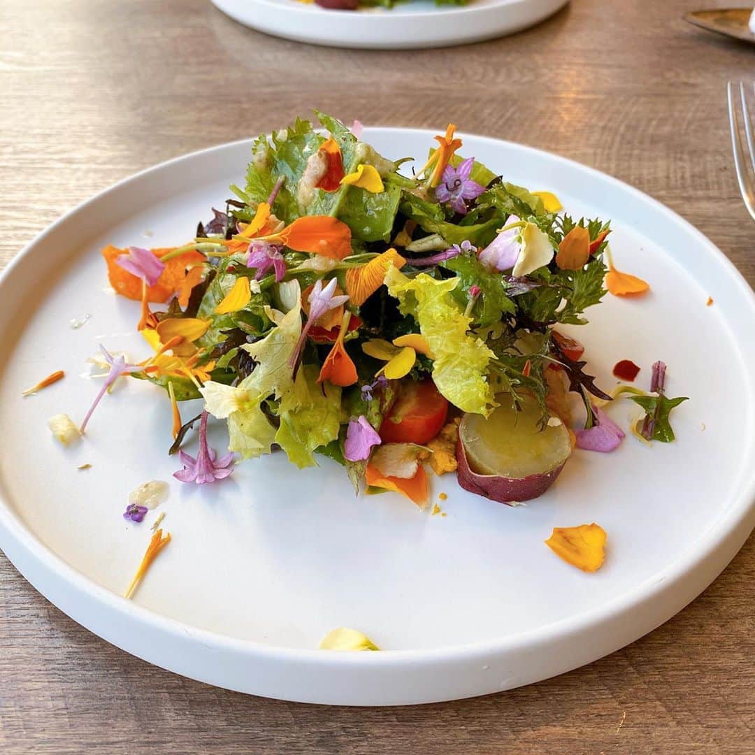 のインスタグラム：「古町で用があったので、﻿ Fioritaさんでランチ😊💕﻿ ﻿ 美しく美味しいメニューの数々に﻿ お腹も心もいっぱい😆﻿ ﻿ ステキなご夫婦が営まれています😊✨﻿ ﻿ #新潟ランチ﻿ #イタリアン﻿ #fiorita﻿ #フィオリータ」