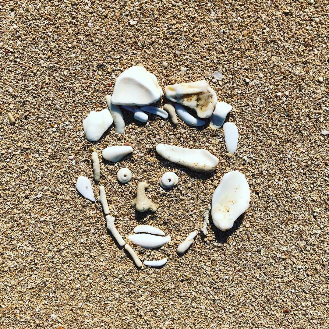 のインスタグラム：「2019沖縄秋季キャンプ休日 #貝殻 #海は心洗われる #海は心現れる #嬉しい楽しい大好き」