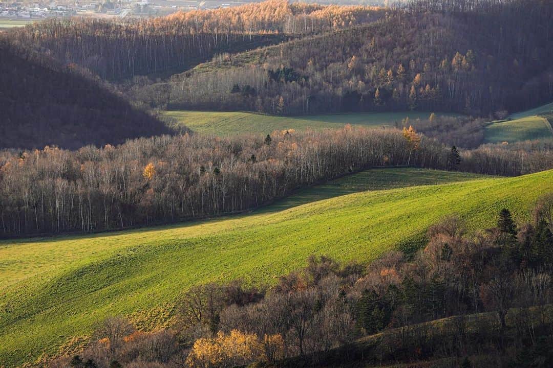 Hikaruのインスタグラム：「Green hill. . . ずうっと本当は素敵な風景を撮りたかった。 . . .  #instagram #instagramjapan #igersjp #東京カメラ部 #tokyocameraclub #natgeo #sony #bealpha #SonyAlpha #SonyImager #pashadelic #naturephotography #naturegeography #photogrena_nature #photo_shorttrip #japan #hokkaido #写真好きな人と繋がりたい #北海道 #A7RM3 #Japan_ilc #pashadelic_gpc2019」