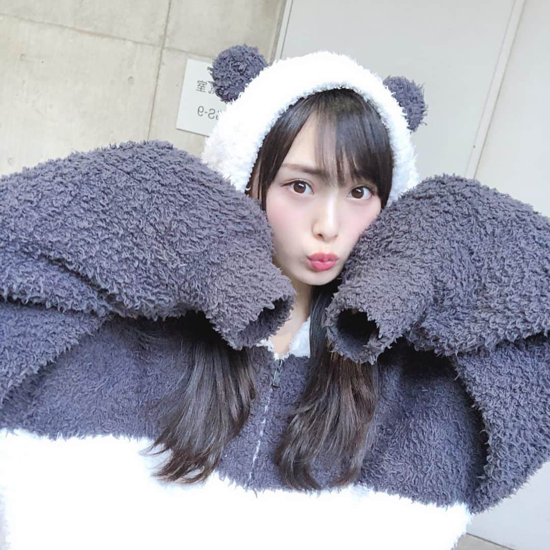 梅山恋和さんのインスタグラム写真 - (梅山恋和Instagram)「#557 #ここパンダ #🐼 #❤️ #もこもこ #パンダ🐼 #おもち映え」11月6日 19時48分 - cocona_umeyama